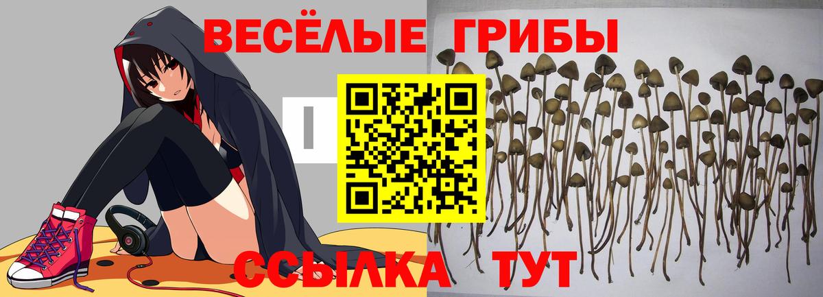 Псилоцибиновые грибы мицелий  Вход с VPN  Партизанск 